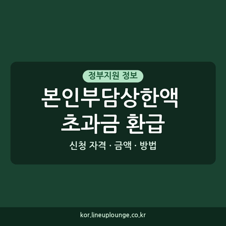 의료비 부담 완화 본인부담상한액 초과금 환급