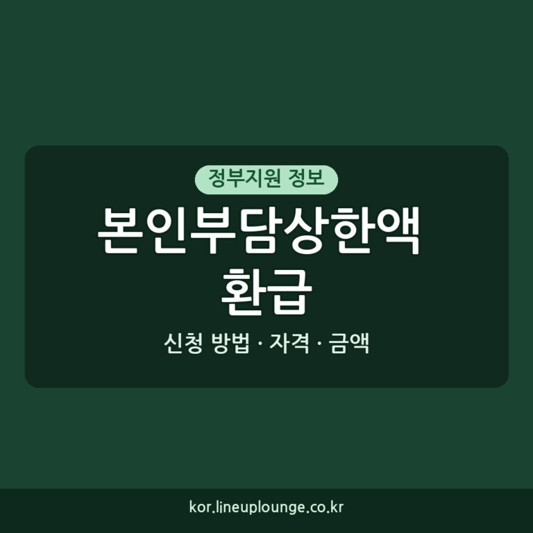 본인부담상한액 초과금 환급 신청 방법과 자격, 지급 금액